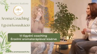 Aroma coaching egyéni konzultáció
